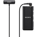 pol-pl-Mikrofon-bezprzewodowy-Sony-ECM-W2BT-fotoaparaciki (16).jpg