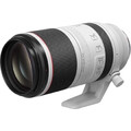 Canon RF 100-500 mm (3).jpg