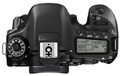 Canon EOS 80D body (2).jpg