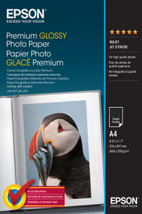 Papier Epson Premium Glossy 255gr A4 30szt.